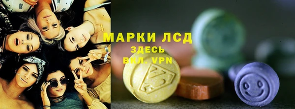 крисы Горняк