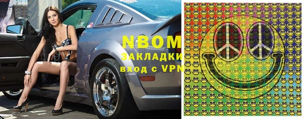 тгк Гусев