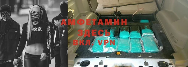 крисы Горняк