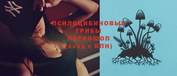 прущие крисы Горно-Алтайск