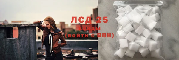 крисы Горняк