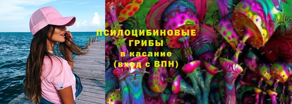 прущие крисы Горно-Алтайск