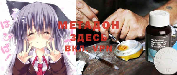 крисы Горняк