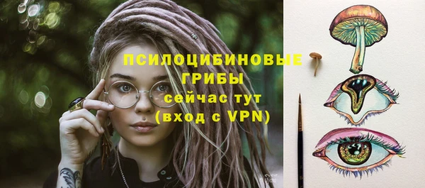 прущие крисы Горно-Алтайск