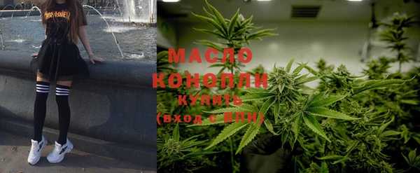 крисы Горняк