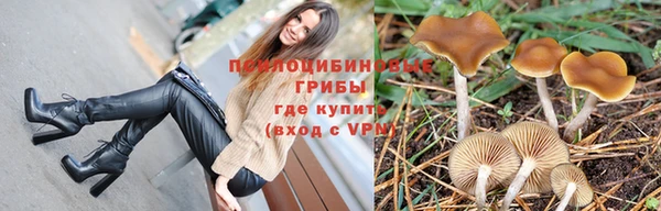 гашиш Горнозаводск