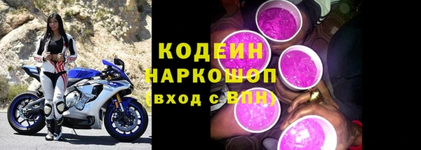 крисы Горняк