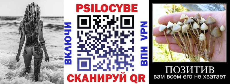 Галлюциногенные грибы мицелий  Купить где  Злынка 