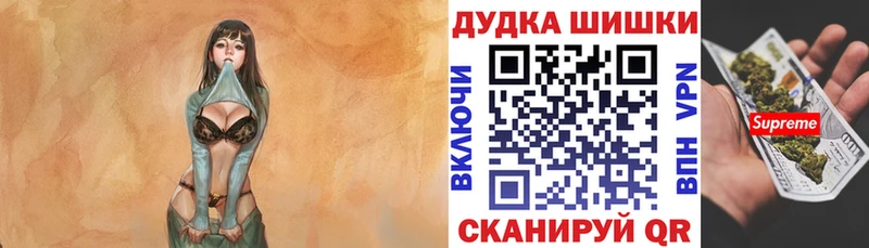 Купить  Злынка  Шишки марихуана сатива 
